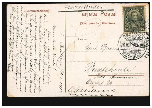 Chile Montana in Victoria - Waldlandschaft, SANTIAGO 26,5,1918