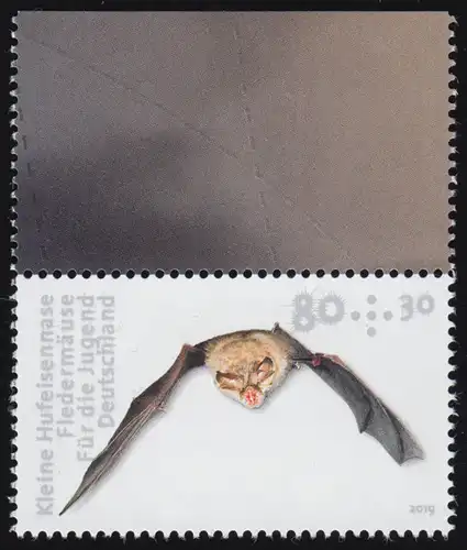 3485 Fledermäuse: Kleine Hufeisennase aus MH 115, **