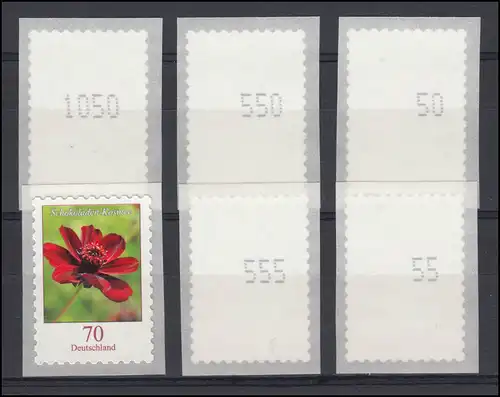 3197 Schoko-Kosmee SELBSTKLEBEND von der 5000er-Rolle - Nummern-Set **