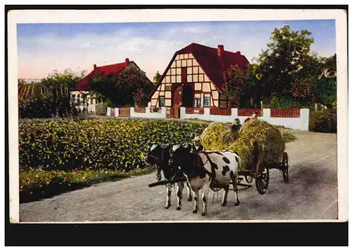 Landwirtschaft-AK Deutsche Ernte Kuhgespann mit Heuwagen RÜNTHE / HAMM 30.5.1930