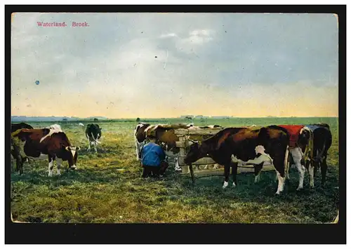 Post de champ BS Batalion-Bataillon 35, post de terrain 17 Div. 27.10.15 sur AK Waterland