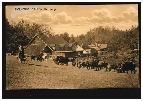 AK Lactosérum House près de Harzburg - berger avec troupeau de bovins, non utilisé