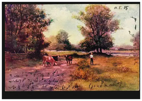 AK Paysage Artiste avec vaches et paysans, BRAUNSCHWEIG 11.1.1905 selon WÜRZBURG