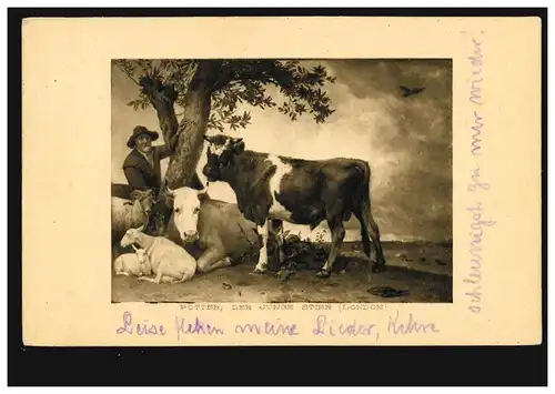 AK Artiste Paulus Potter: Le jeune taureau BERLIN W 9 h 29.8.1909