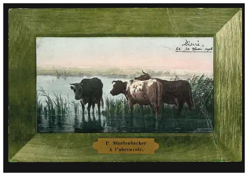 AK-P. Stortenbecker: Pour boire - vaches sur le bord du lac, 14.5.1906