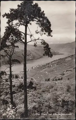 Le château de chasse de Landpost sur Rüdesheim (Rhein) sur AK vers 1960