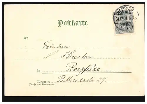 Carte de l'année Nouvel An Otto Andres Patinoire Le fond de la chute, HAMBURG 1901