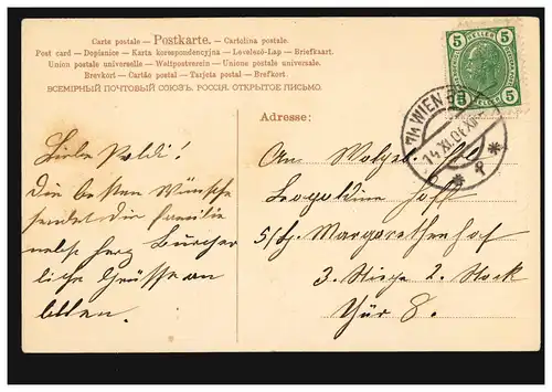 Ansichtskarte Vornamen: Hoch Leopoldine! Junge mit Blütenzweig, WIEN 14.11.1906