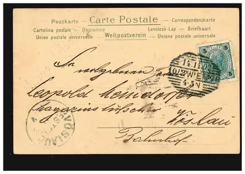 Carte postale Prénoms: Haute Leopold! Lire la suite, VIENNE 14.11.1902 après VÖSLAU