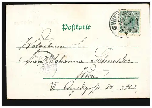 Carte postale: Johanna, Fleurs, Carte postal locale VIENNE 22.5.1900