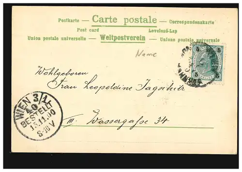 Carte postale: Haute Léopoldine! Trèfle chanceux, Carte de poste locale VIENNE 15.11.00