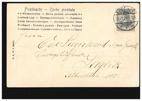 Carte de l'année Nouvel An Bière avec fer à cheval, SUD FIN 31.12.1904