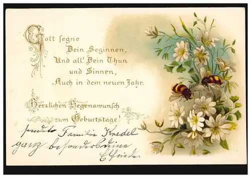 AK Glückwünsche Geburtstag Margeriten mit Bienen, M.Gladbach 11.11.1898