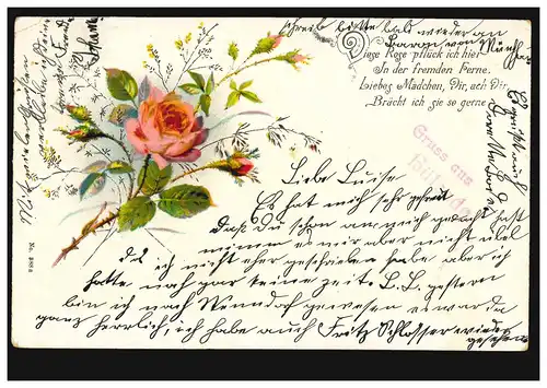 Blumen-AK Rosenzweig, MÜNDER Hülsede 28.6.04 nach REHBURG (BAD) 28.6.04