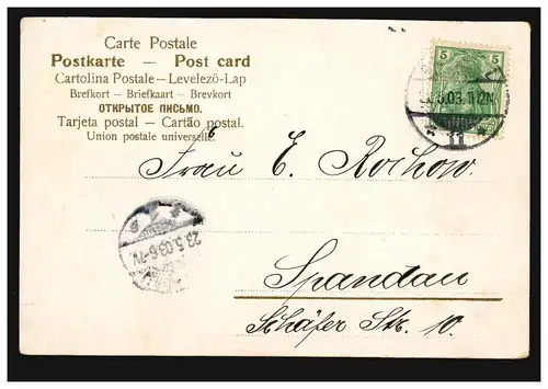 Blumen-AK Margeriten und Sehnsuchtsgedicht BERLIN 22.5.1903 nach SPANDAU 23.5.03