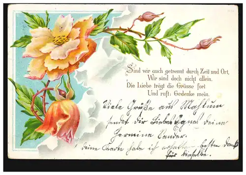 Blumen-AK Blumenranke und Sehnsuchtsgedicht, BOCKENEM 21.7.1903 nach MORINGEN
