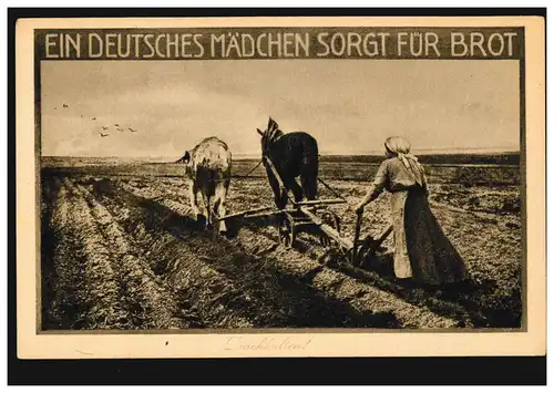 Une jeune fille allemande fait du pain: une paysanne derrière la charrue, sans emploi