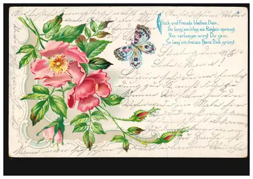 Blumen-AK Rosenzweig mit Schmetterling, HORREM (Bz. DÜSSELDORF) 18.6.1904 