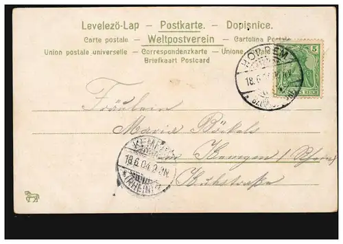 Blumen-AK Rosenzweig mit Schmetterling, HORREM (Bz. DÜSSELDORF) 18.6.1904 