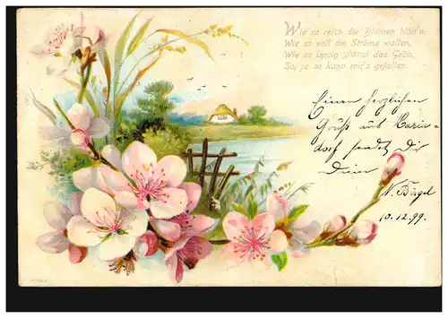 Blumen-AK Blumen und Landschaftsbild, MARIADORF (RHEINLAND) 11.12.1899