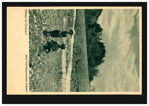 AK Enfants: Au milieu du vert! Enfants dans la prairie, GÖTTINGEN 15.6.1934