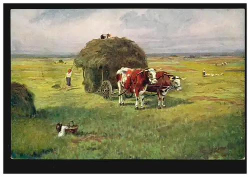 AK-Agriculteur B. Klimes: récolte de foin avec des chenils de bovins, couru