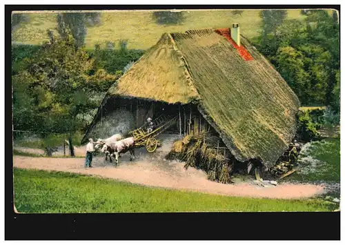 Landwirtschaft-AK Gutshof im Kammbachtal Ochsengespann, RÜSTRINGEN 15.10.1911