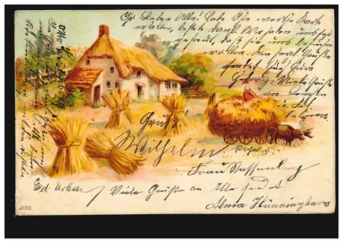 Landwirtschaft-AK Getreideernte Ochsengespann Garbenverladung, GEVELSBERG 1907