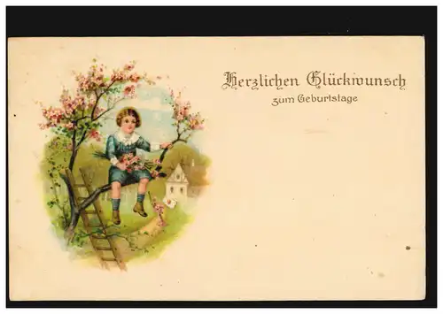 AK Glückwünsche Geburtstag Kind auf einem Baum mit Blumen, HANNOVER 25.7.1918