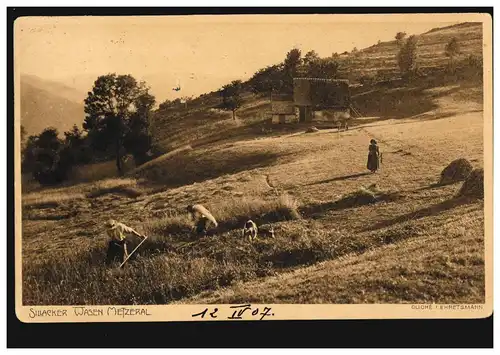 Sillacker Wasen bei Metzeral - Landwirtschaft: Bei der Ernte, gelaufen 13.7.1907