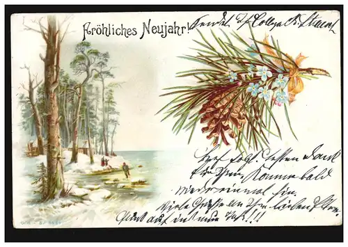 Carte de vue Nouvel An Paysage sur le lac Patinoire, WIESBADEN 32.12.03