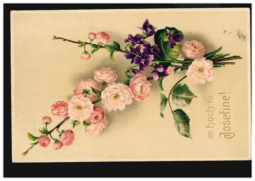 Carte postale Prénoms: Haute Josefine ! Roses et Belle-mères, VIENNE 10.3.1917