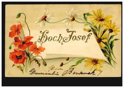 Ansichtskarte Vornamen: Hoch Josef! Blumenzweige, WIEN 14.3.1903