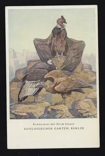 AK J.J. Weber: couple condor avec son fils au zoo de Berlin, inutilisé