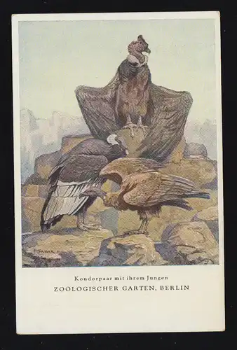 Künstler-AK J.J. Weber: Kondorpaar mit ihrem Jungen im Zoo Berlin, ungebraucht