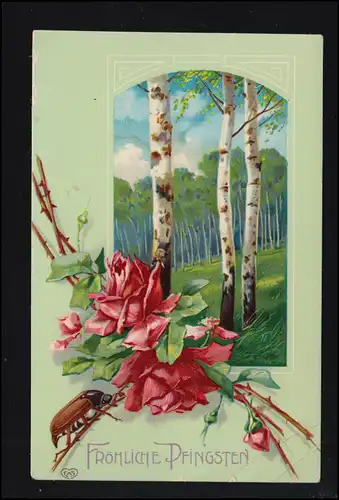 Animaux-AK Pentecôte Maikcäfer avec roses et bouleau, MAXEN (PIRNA) 3.6.1911