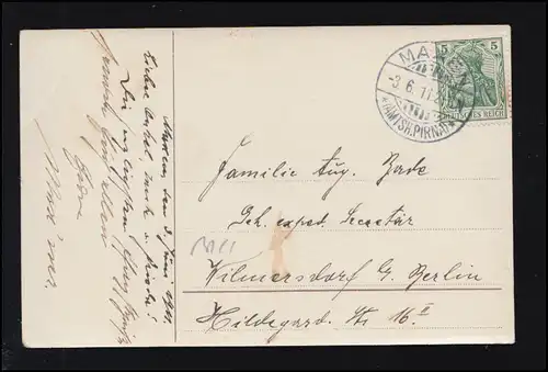 Animaux-AK Pentecôte Maikcäfer avec roses et bouleau, MAXEN (PIRNA) 3.6.1911