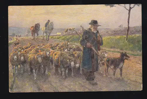 AK Willy Brandes: bergers extravagants avec moutons, inutilisé