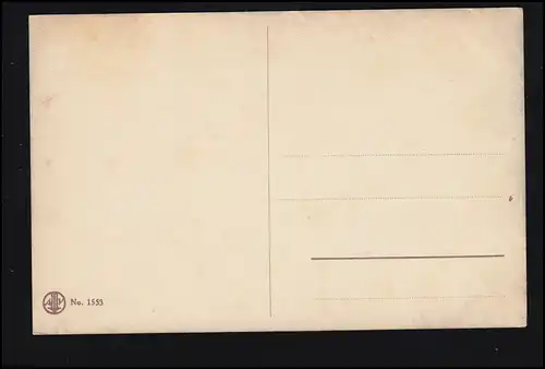 Trio de chat animal-AK en jouant avec l'araignée, non utilisé