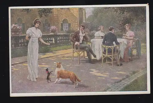 AK artiste alimentation pour chiens - pour les petits et grands chiens, inutilisé