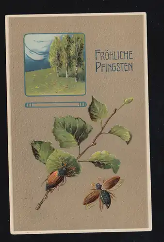 Animaux-AK Pentecôte Maikcäfer avec branche et bouleau, OLDENBURG 3.6.1911