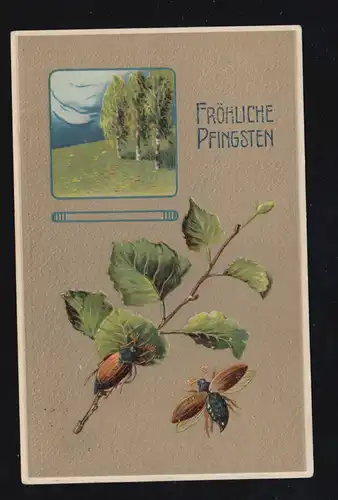 Tiere-AK Pfingsten Maikäfer mit Zweig und Birkenwald, OLDENBURG 3.6.1911