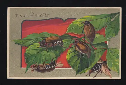 Tiere-AK Pfingsten Fünf Maikäfer mit Zweig, BRAMSCHE (BZ. OSNABRÜCK) 10.5.1913 