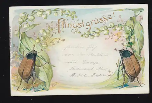 Tiere-AK Pfingsten Maikäfer halten Maiglöckchen, CAMP (BZ. DÜSSELDORF) 4.6.1900