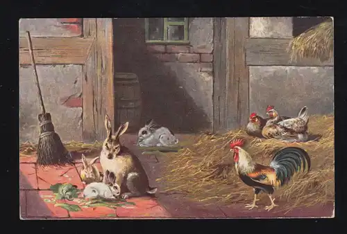 Animaux AK Dans l'écurie - avec les poulets et les lapins, légendes T.S.N., non utilisés