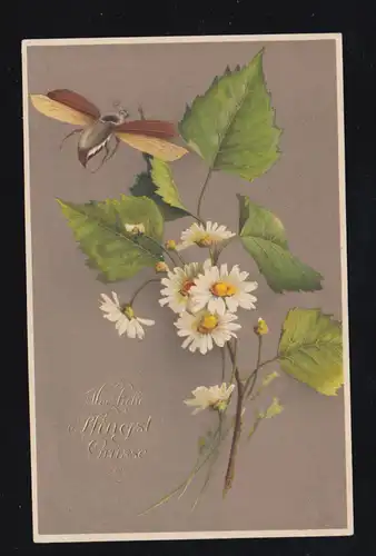 Tiere-AK Pfingsten Fliegender Maikäfer mit Blütenzweig, REMSCHEID-HASTEN 25.5.12