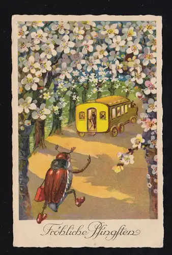 Animaux-AK Pentecôte Coureur Maiksäfer à l'autobus scolaire, HAMBURG 23.5.1931