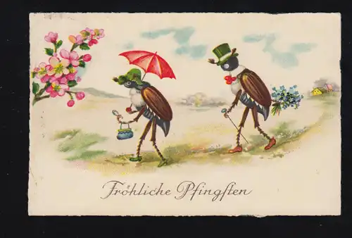 Animaux-AK Pentecôte migrant couple de maicacier maudit, RECKLINGHAUS 1940