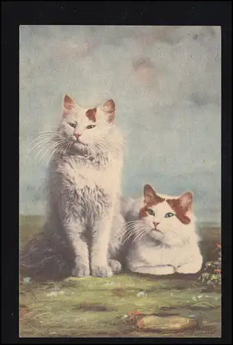 Couple de chats AK animaux, DORTMUND 15.12.1940