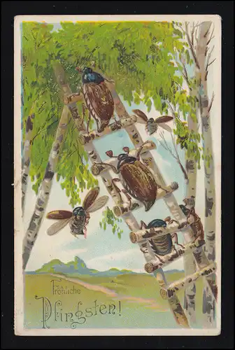 Animaux-AK Pentecôte Maikcäfer sur l'échelle dans la forêt de bouleau, 30.5.1914